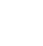 AccessInitiative logo