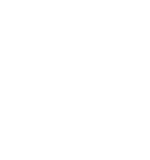 parklink white logo